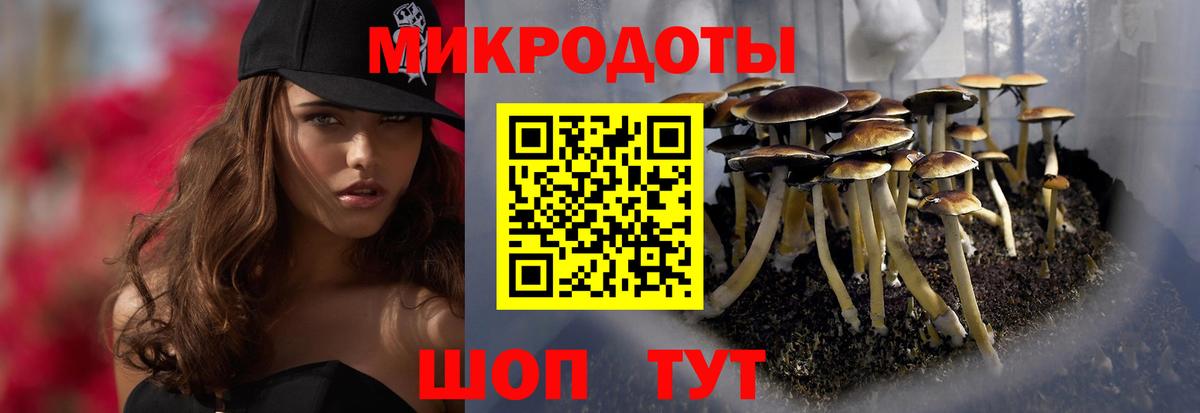 Галлюциногенные грибы прущие грибы  Псилоцибиновые грибы мухоморы  Вход с VPN  цена наркотик  Нерюнгри 